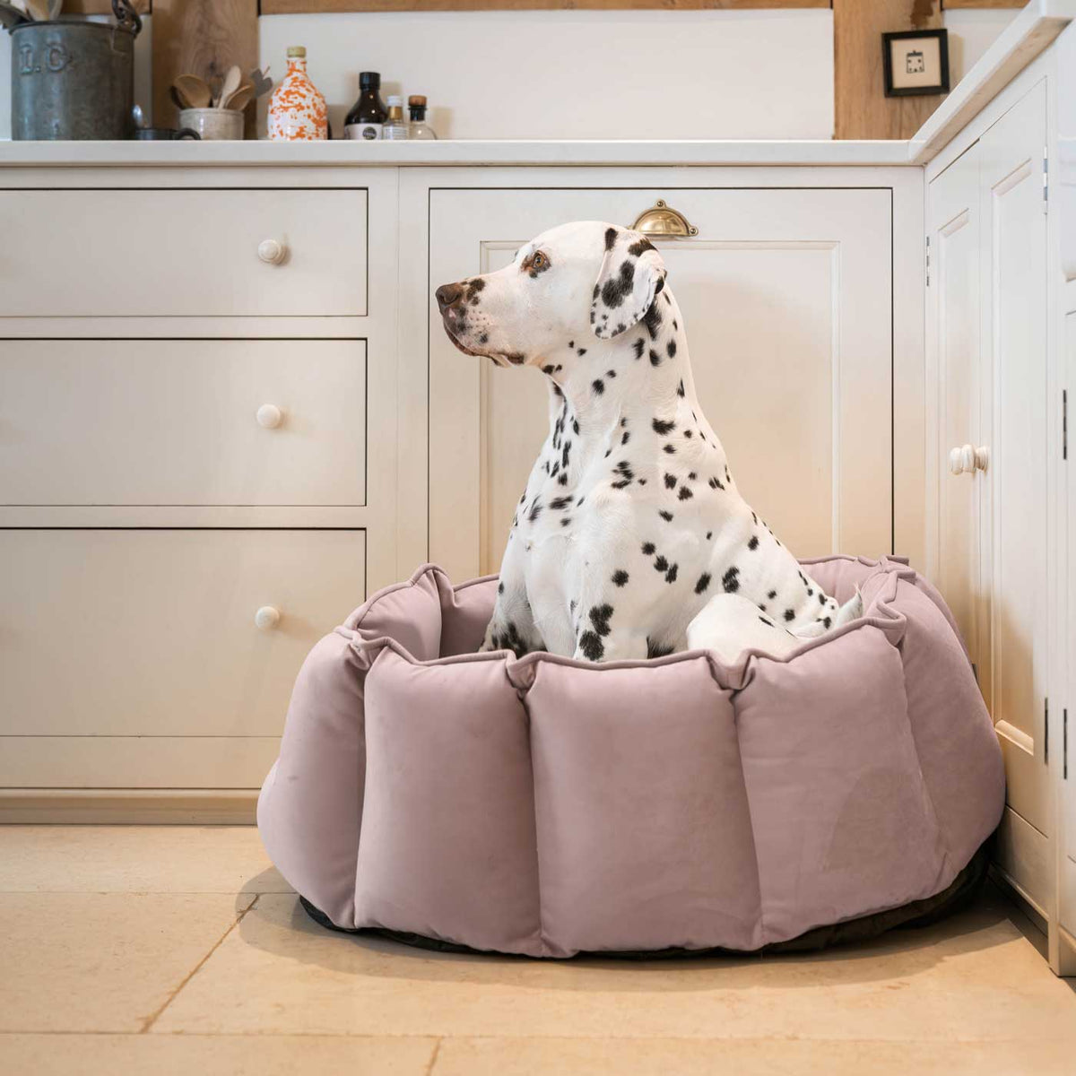 High Wall Bed With Removable Covers in Blossom Velvet, view 4