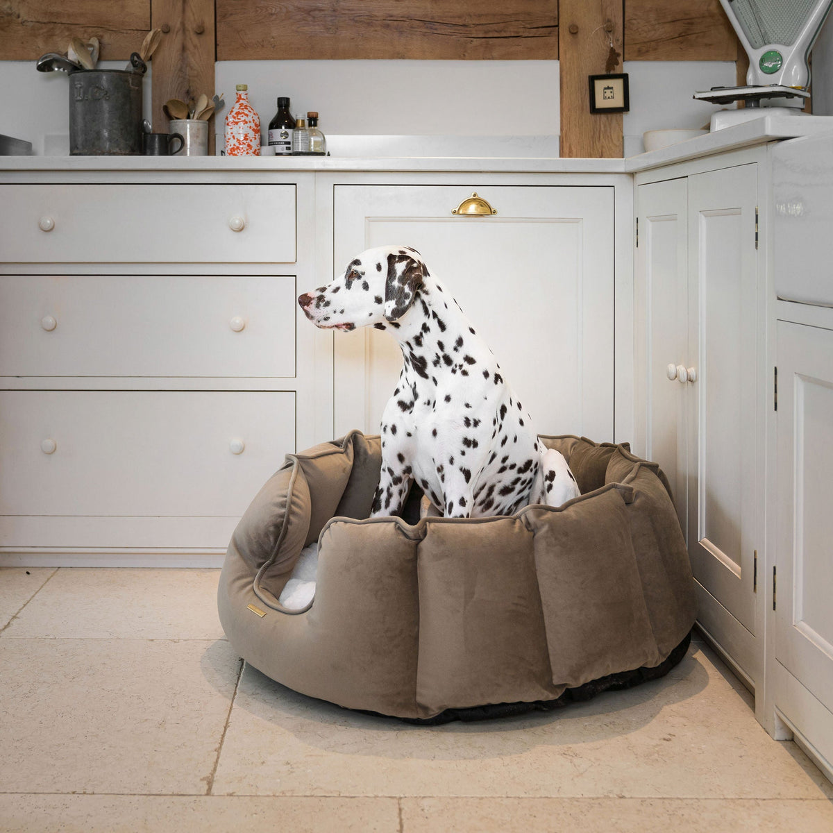High Wall Bed With Removable Covers in Clay Velvet, view 3