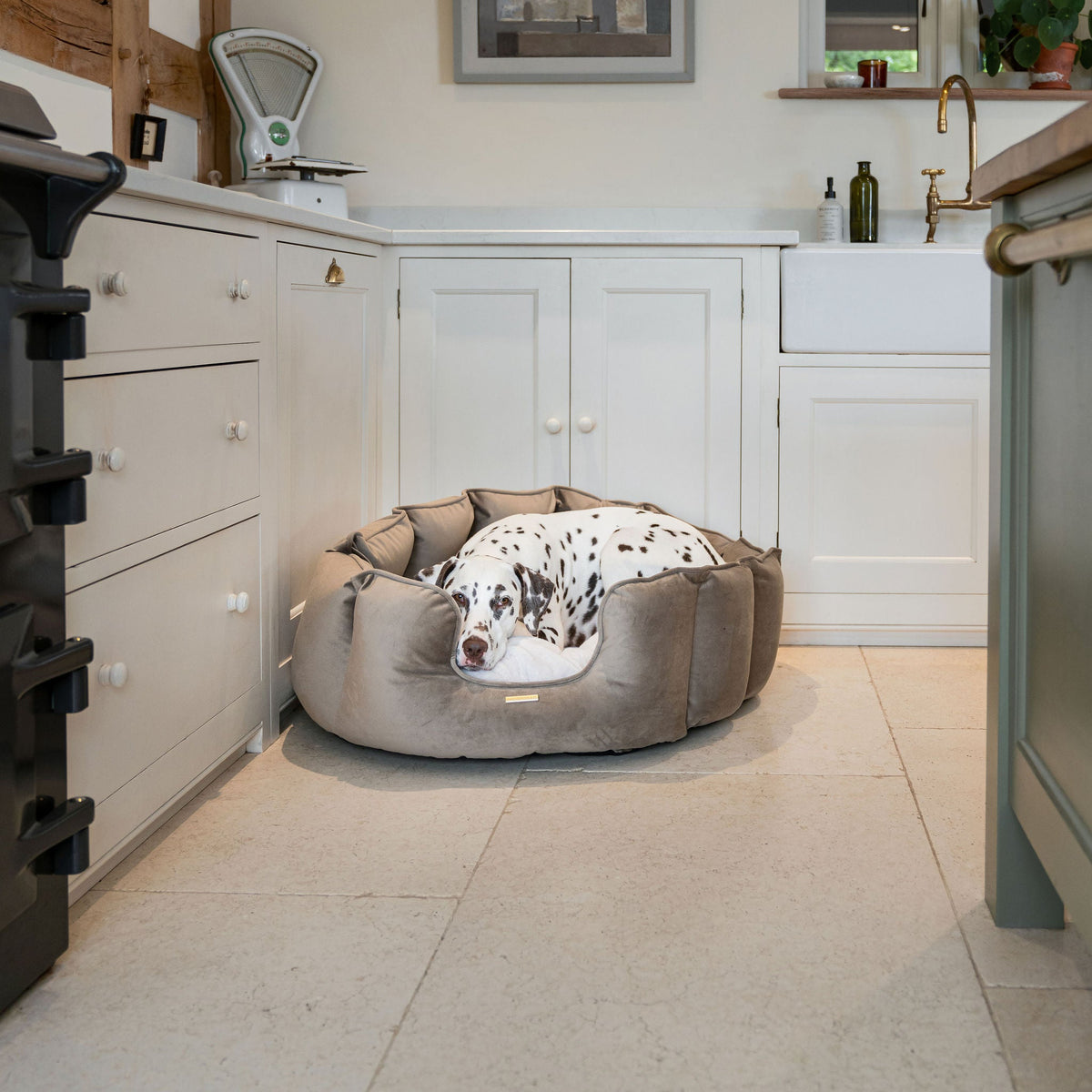 High Wall Bed With Removable Covers in Clay Velvet