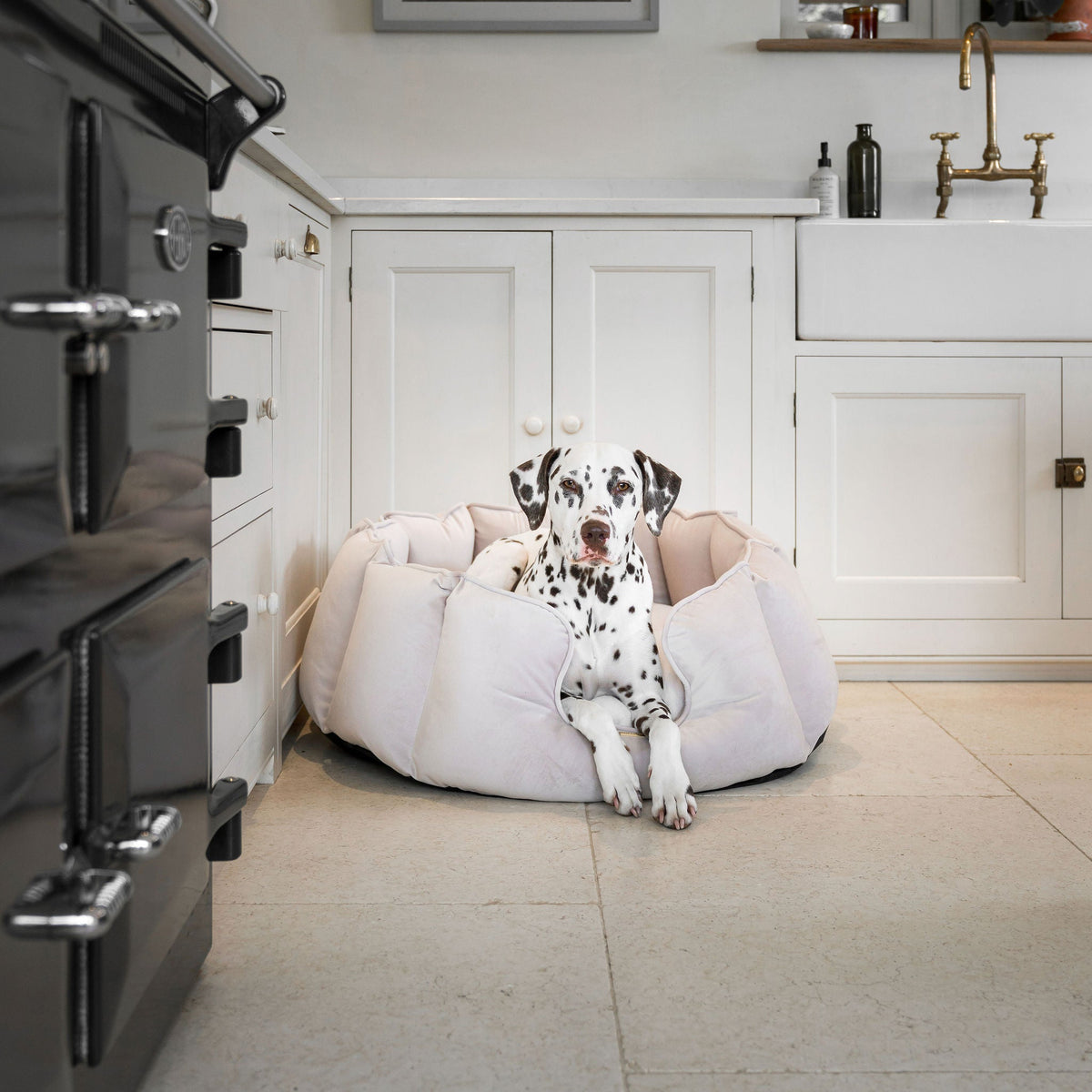 High Wall Bed With Removable Covers in Oyster Velvet