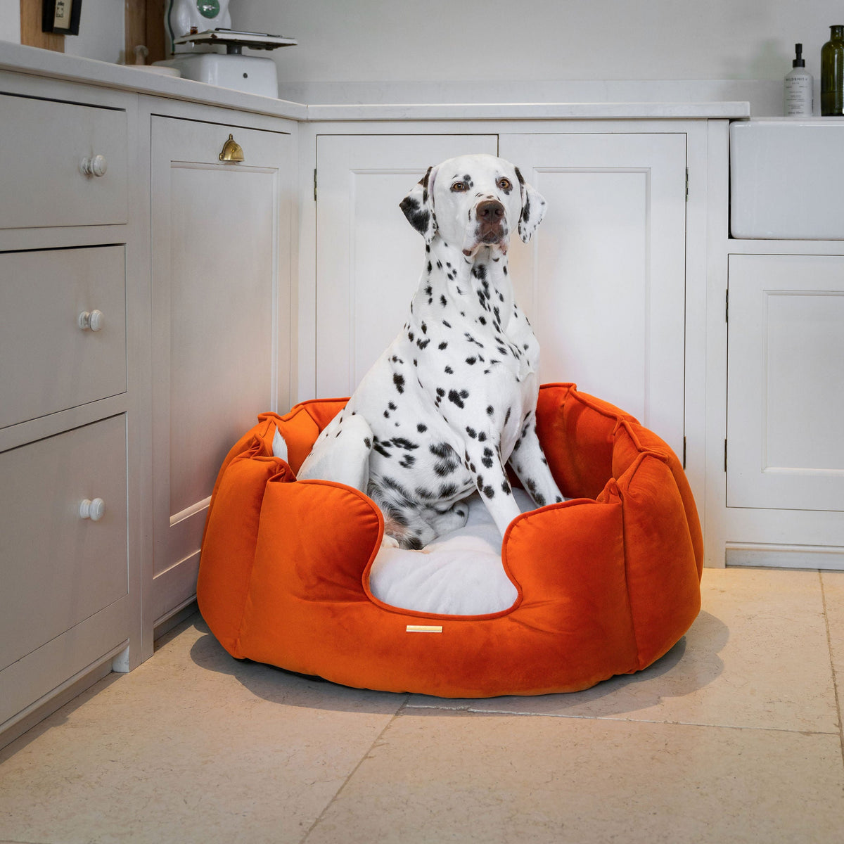 High Wall Bed With Removable Covers in Pumpkin Velvet, view 4