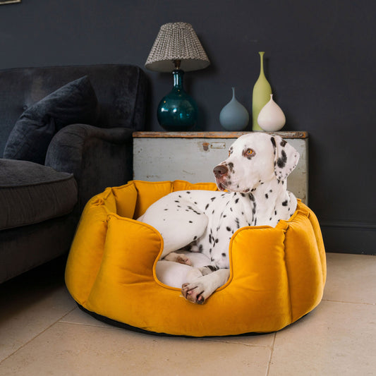 High Wall Bed With Removable Covers in Saffron Velvet