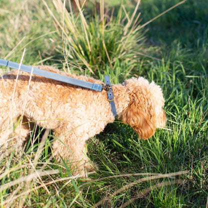 Ancol Timberwolf Leather Collar, view 4