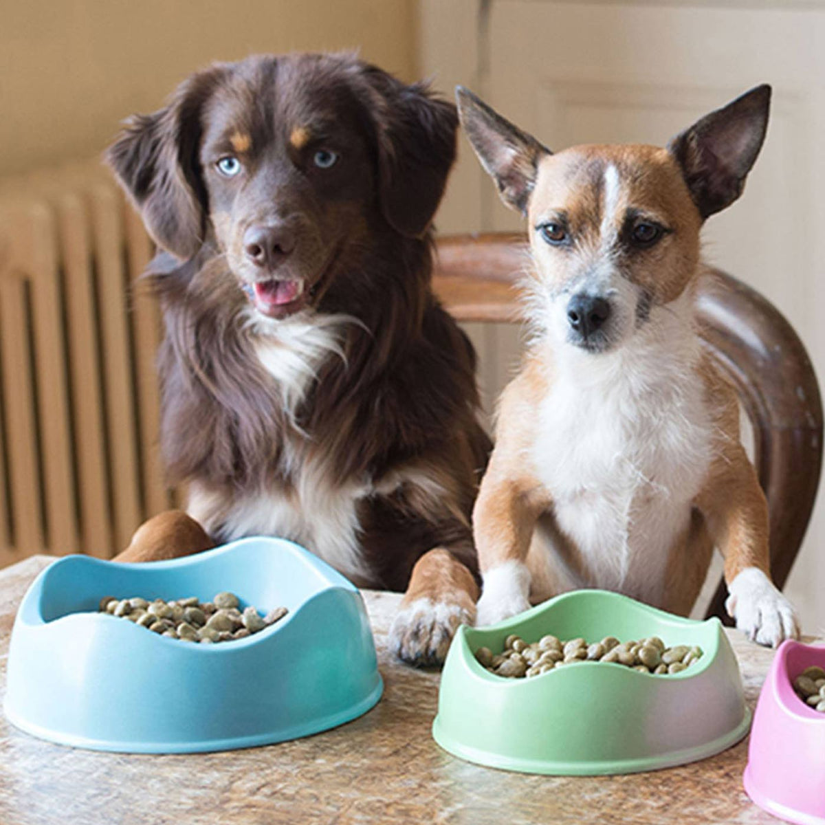 Beco Food Bowl, view 2