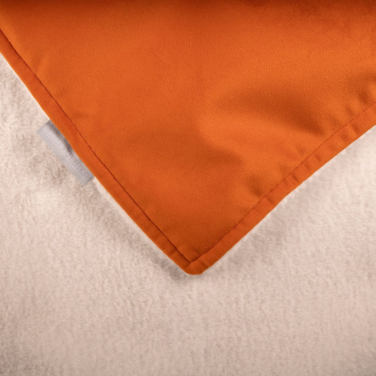 Dog & Puppy Blanket in Pumpkin Velvet, view 5