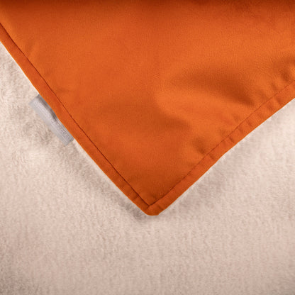 Dog & Puppy Blanket in Pumpkin Velvet, view 5