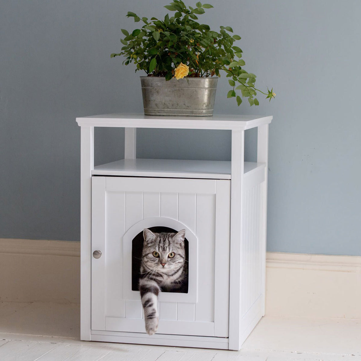 White Cat Washroom
