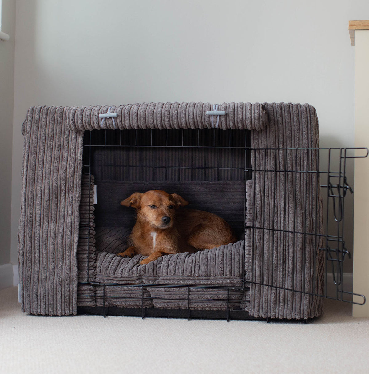 Dog Crate Set in Dark Grey Essentials Plush, view 2