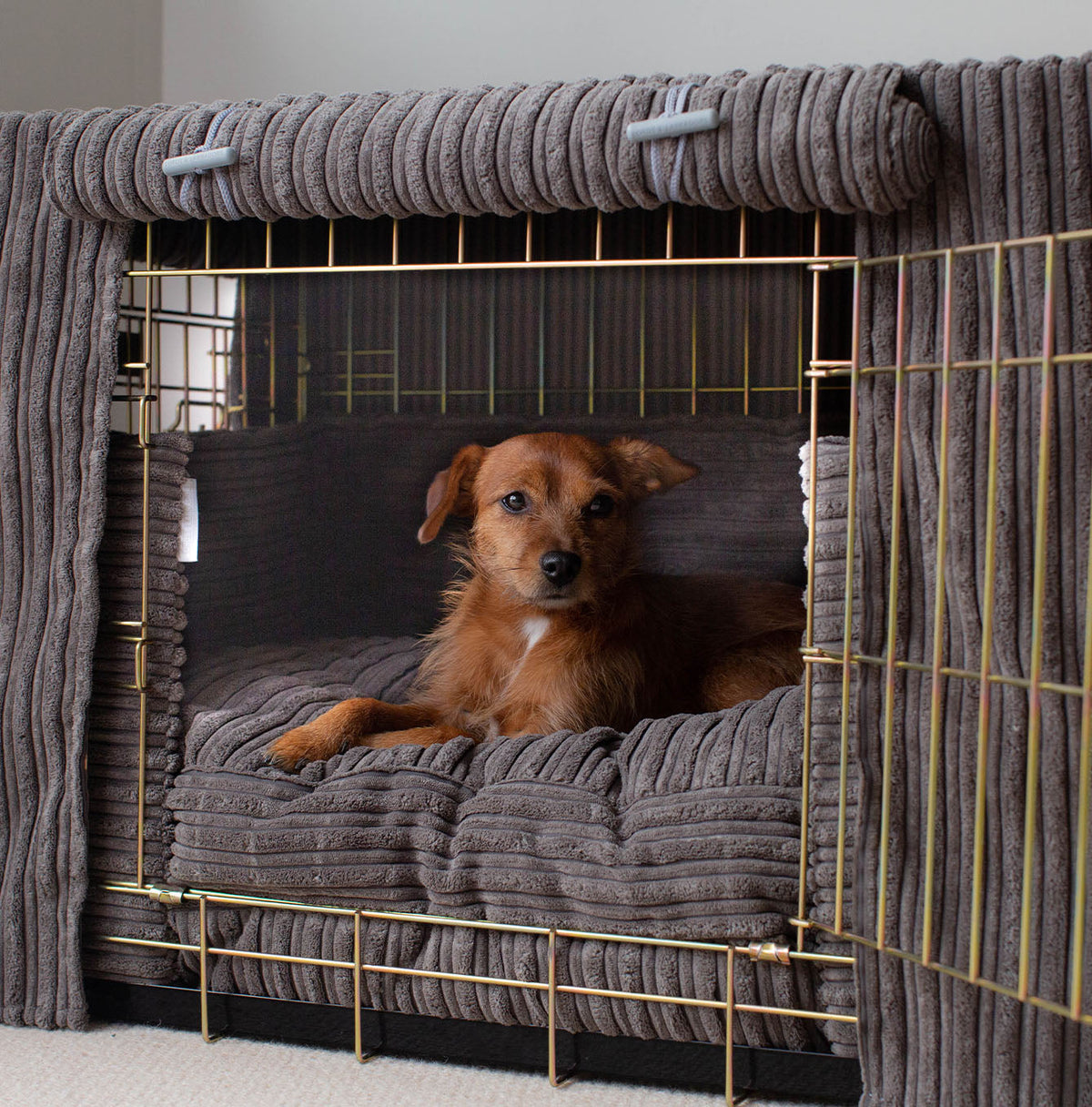 Dog Crate Set in Dark Grey Essentials Plush, view 7