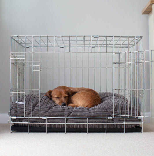Dog Cushion in Dark Grey Essentials Plush
