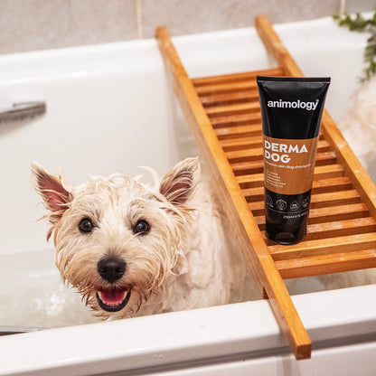 Animology Derma Dog Shampoo, view 2