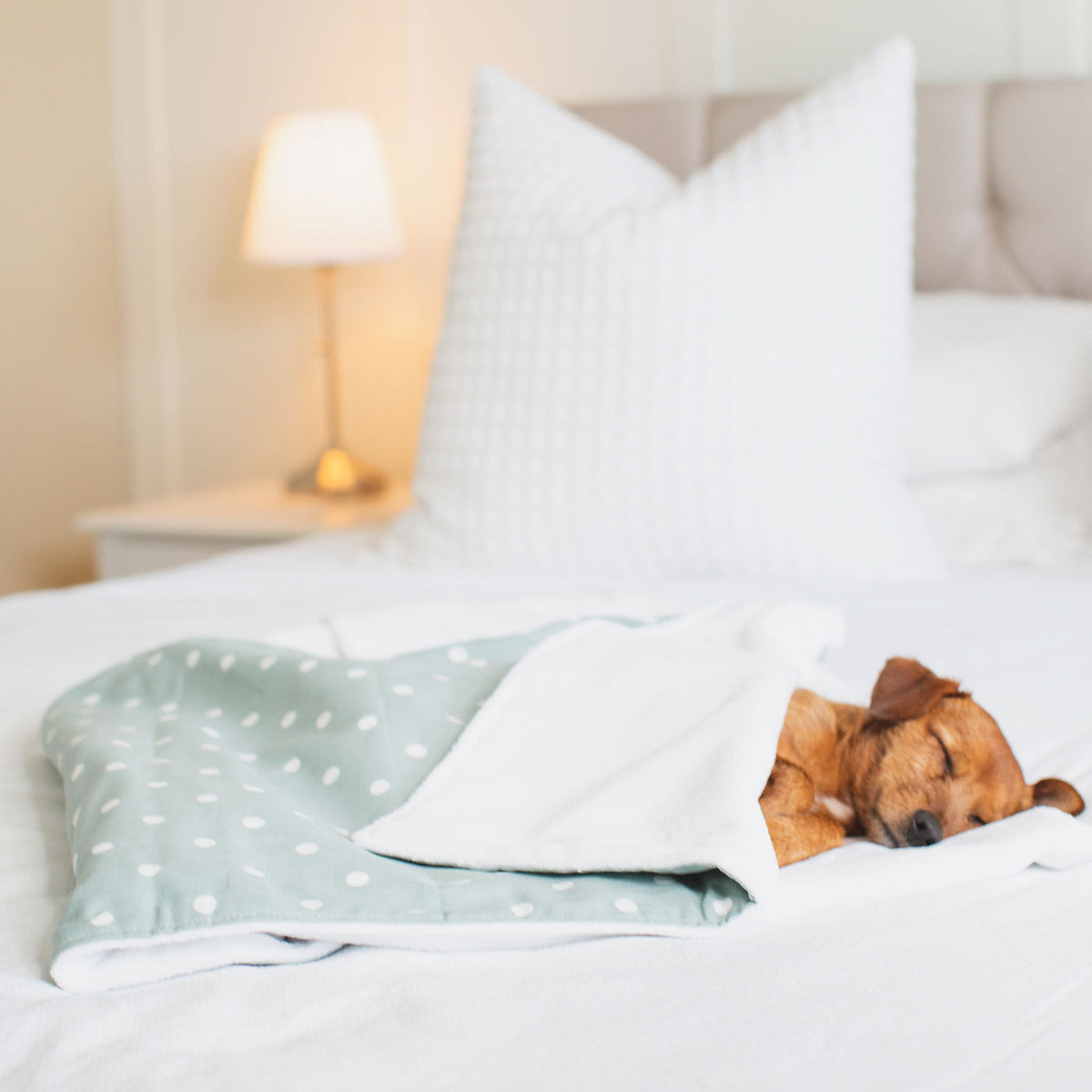 Dog & Puppy Blanket in Spots & Stripes, view 13