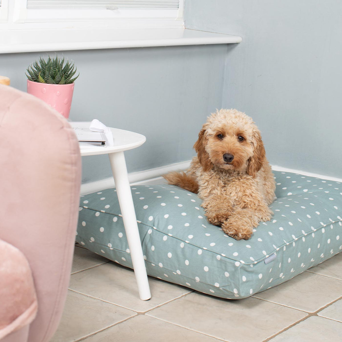 Dog Cushion in Duck Egg Spot, view 12