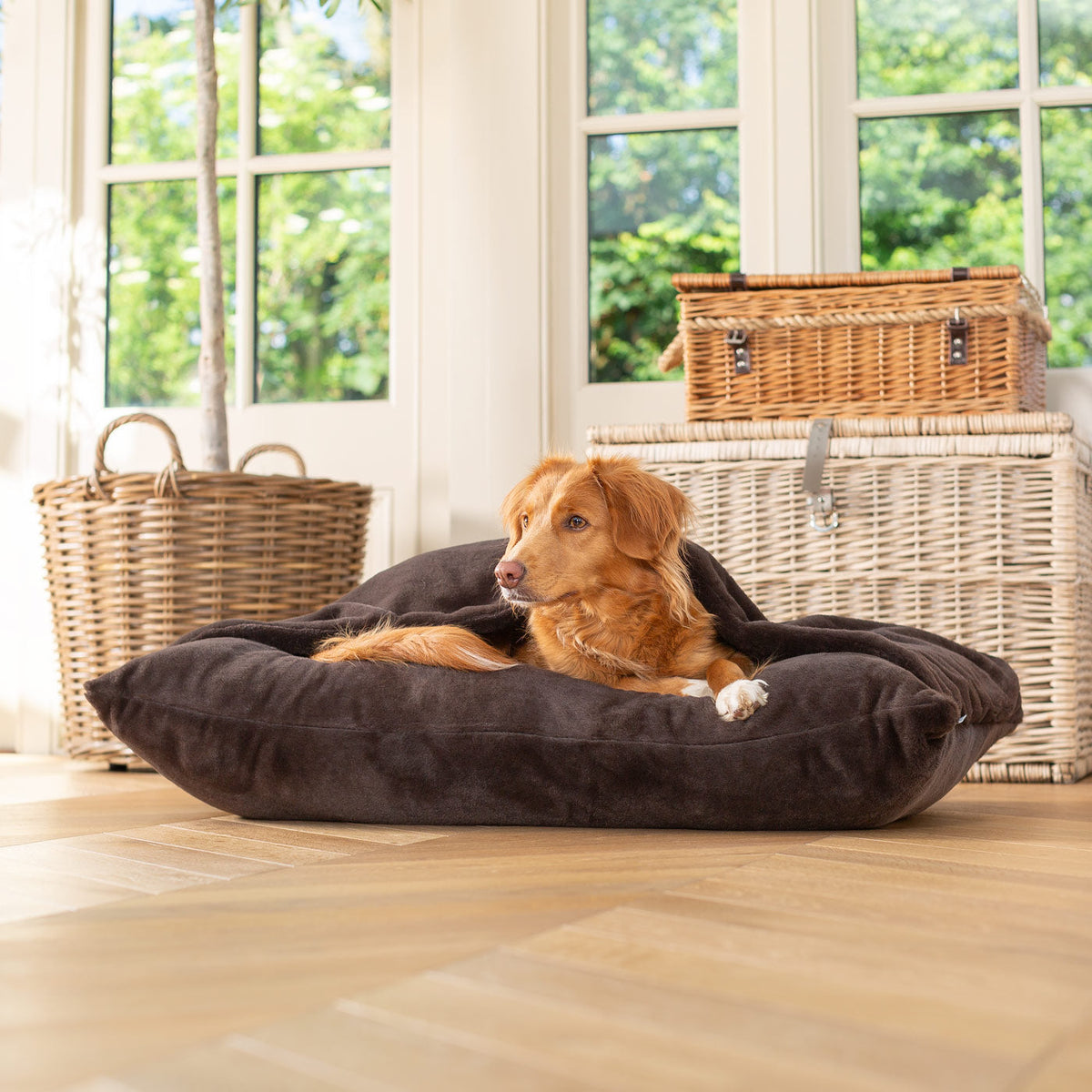Sleepy Burrows Bed With Removable Cover in Calming Anti-Anxiety Dusk Faux Fur