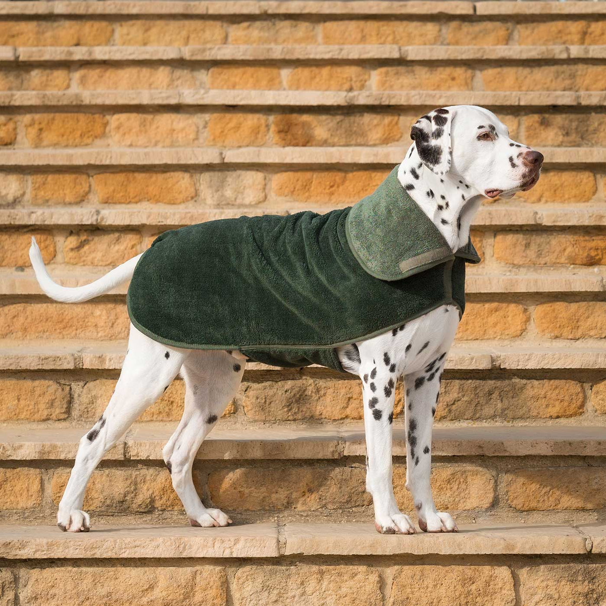 Bamboo Drying Coat in Fir, view 10