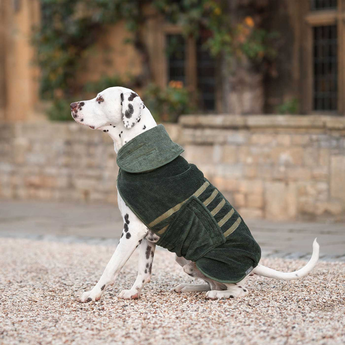 Bamboo Drying Coat in Fir, view 11