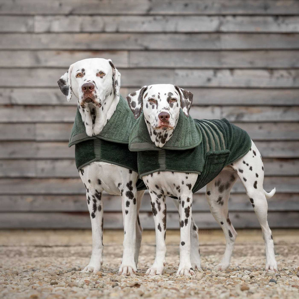 Bamboo Drying Coat in Fir