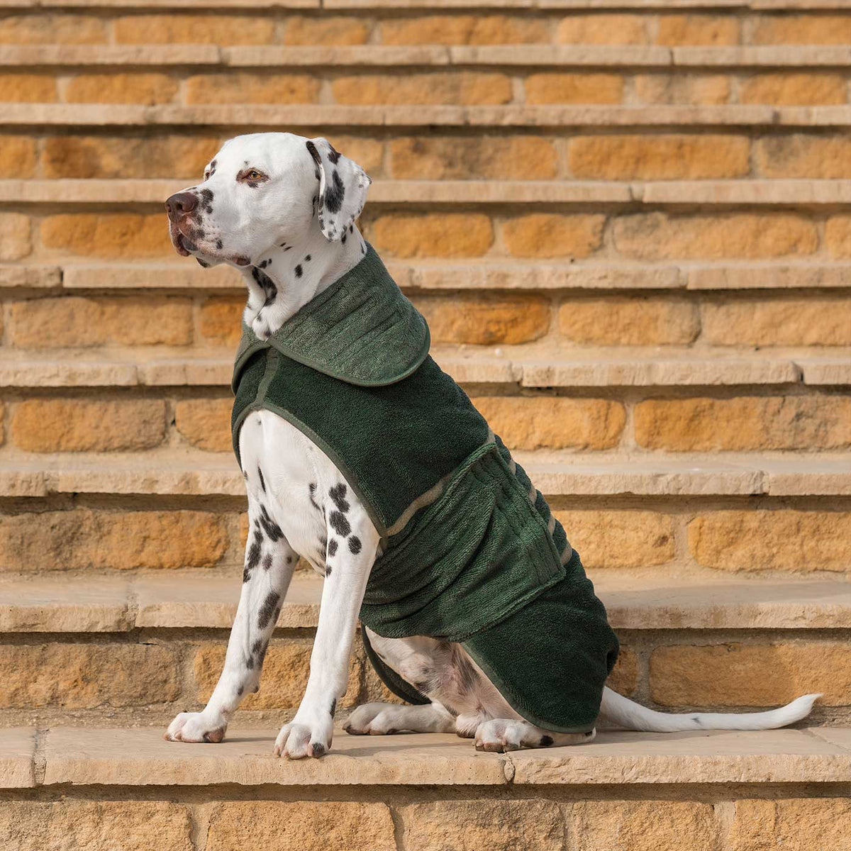 Bamboo Drying Coat in Fir, view 9