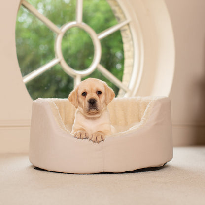 Grow With Me Puppy Bed in Cream, view 6