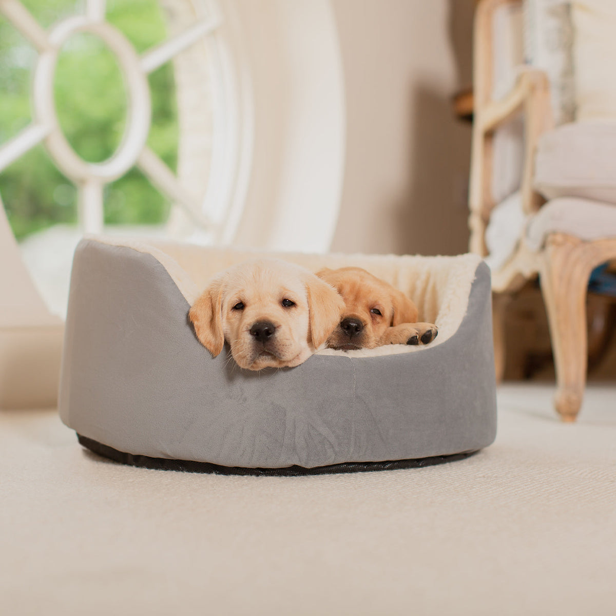 Grow With Me Puppy Bed in Grey, view 6