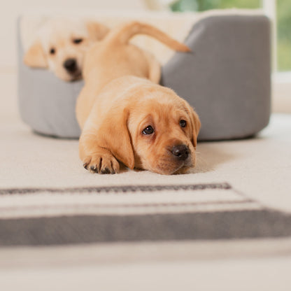 Grow With Me Puppy Bed in Grey, view 7
