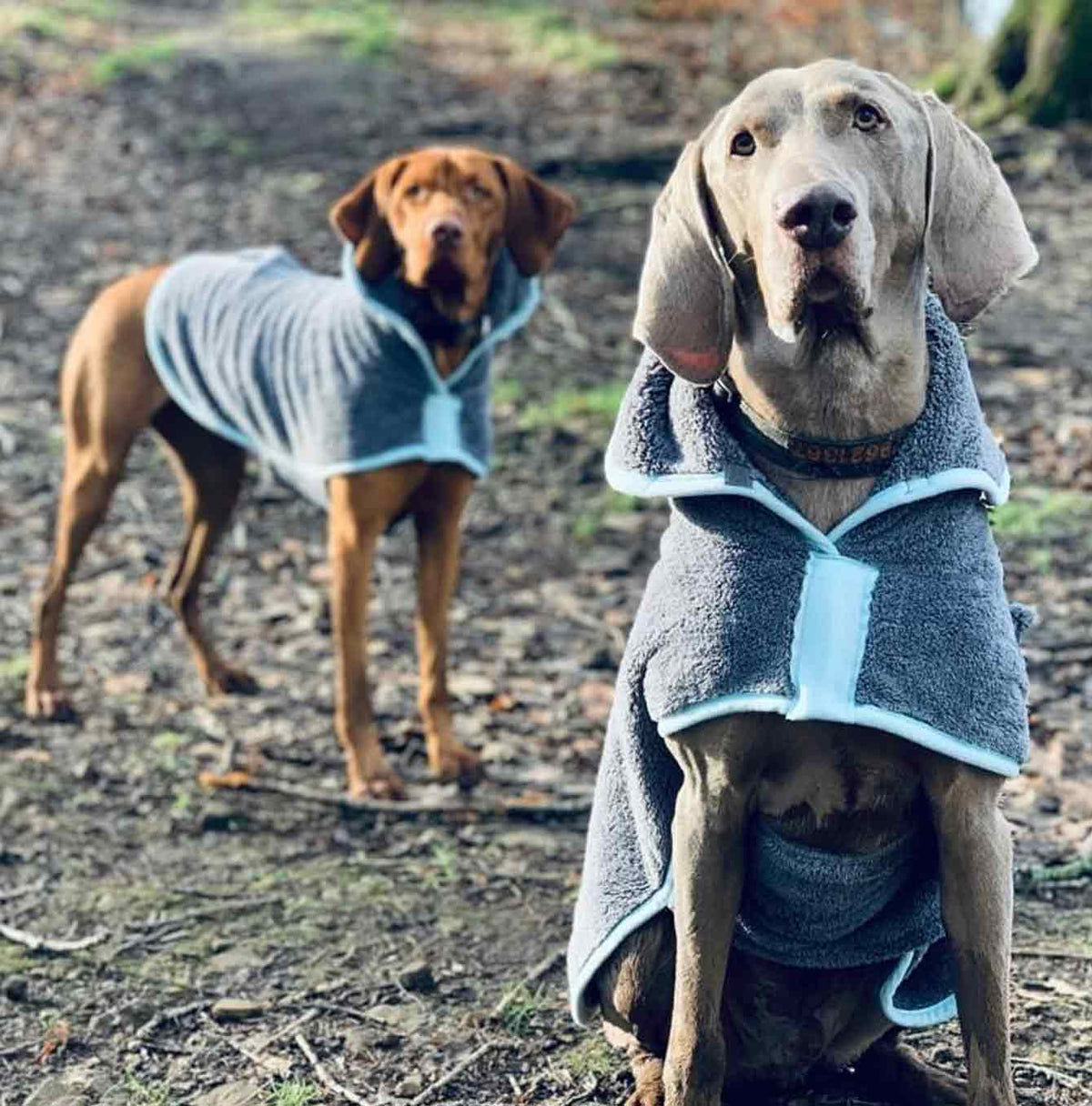 Henry Wag Drying Coat, view 4