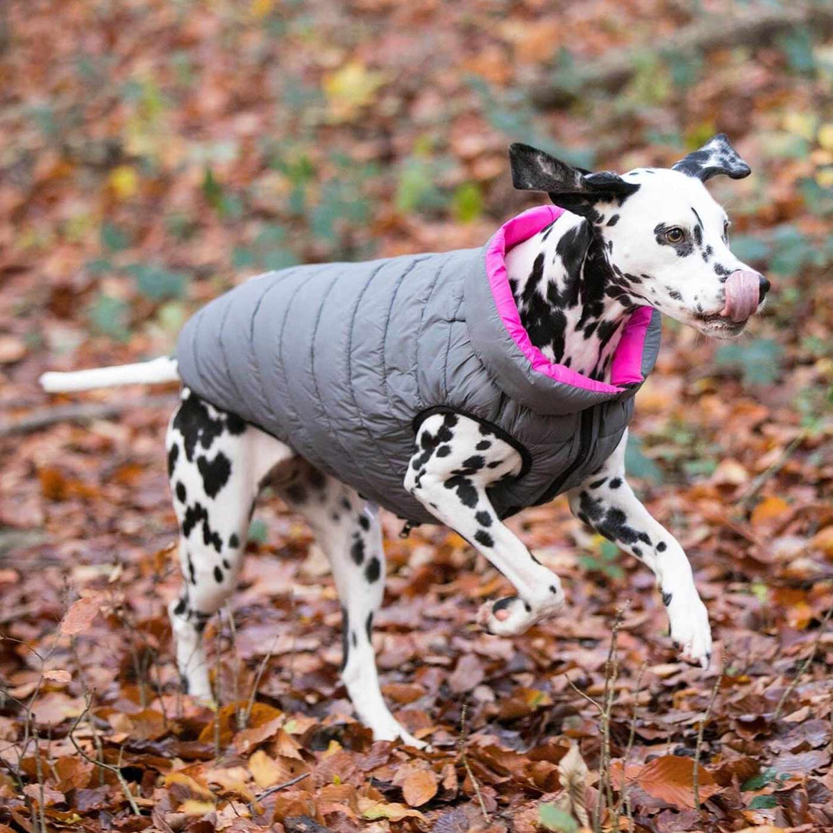 Hugo & Hudson Reversible Pink & Grey Puffer Jacket, view 2