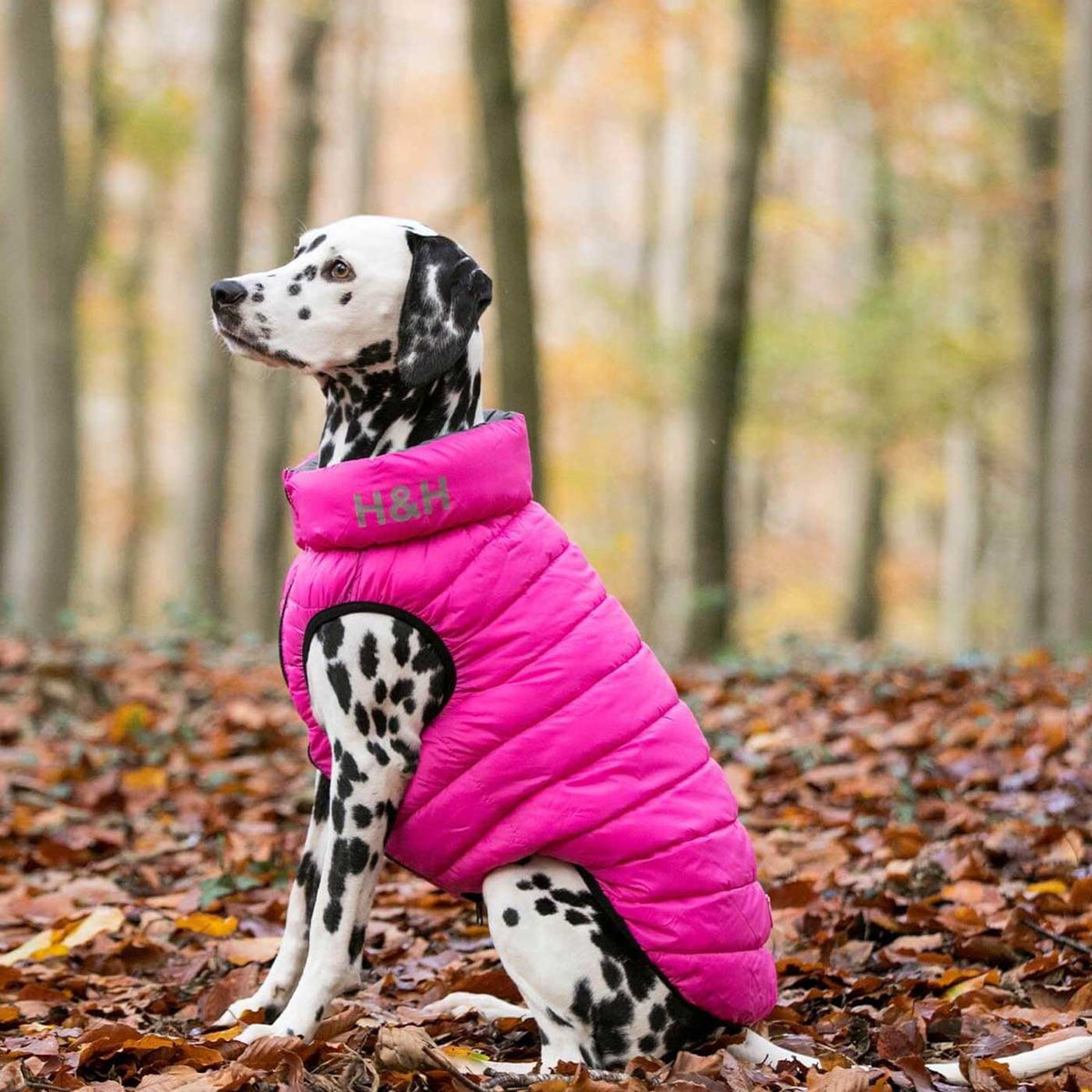 Hugo & Hudson Reversible Pink & Grey Puffer Jacket, view 4