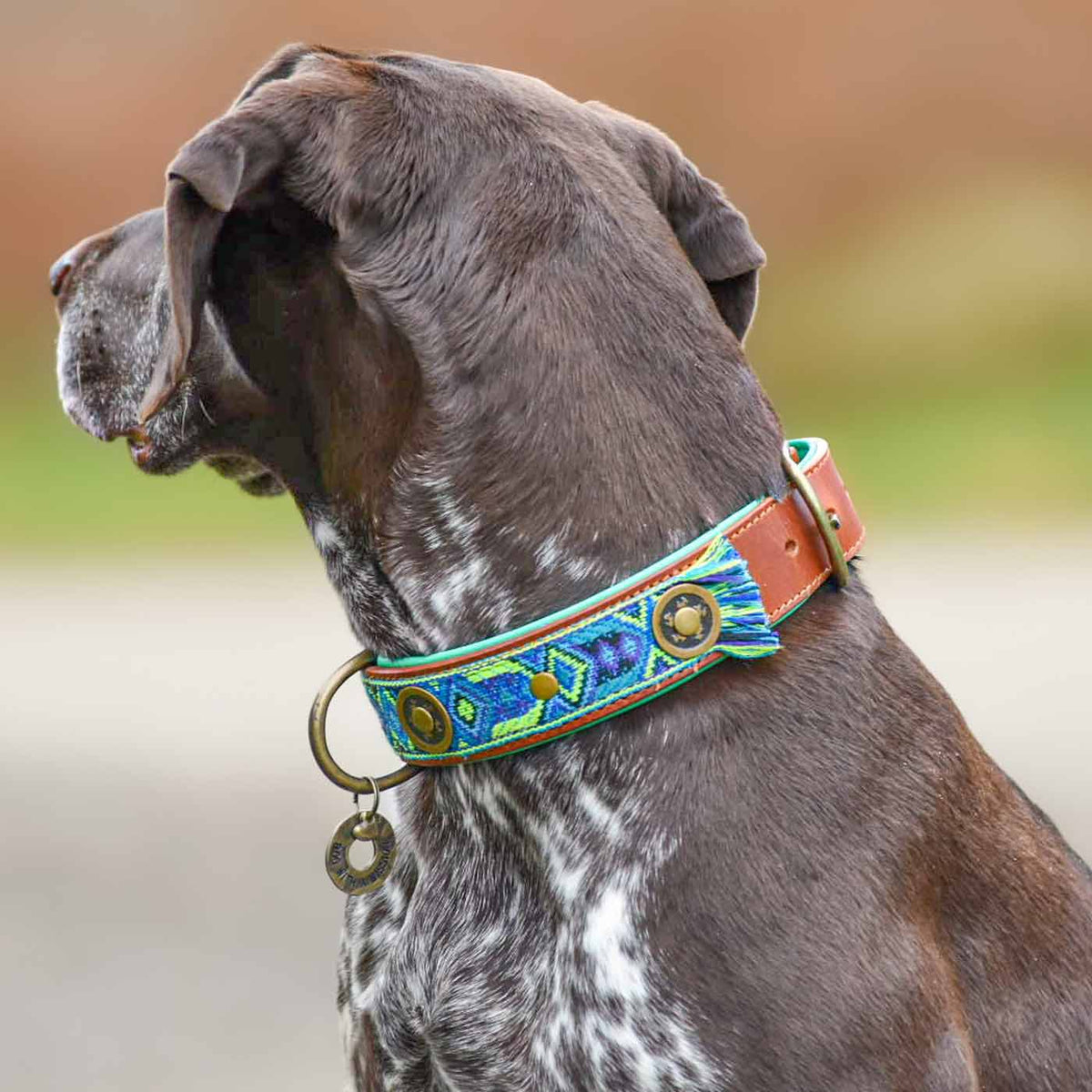 Boho Juan Dog Collar by DWAM, view 2
