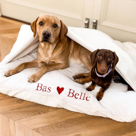 Valentines Edition Sleepy Burrows Bed With Removable Cover