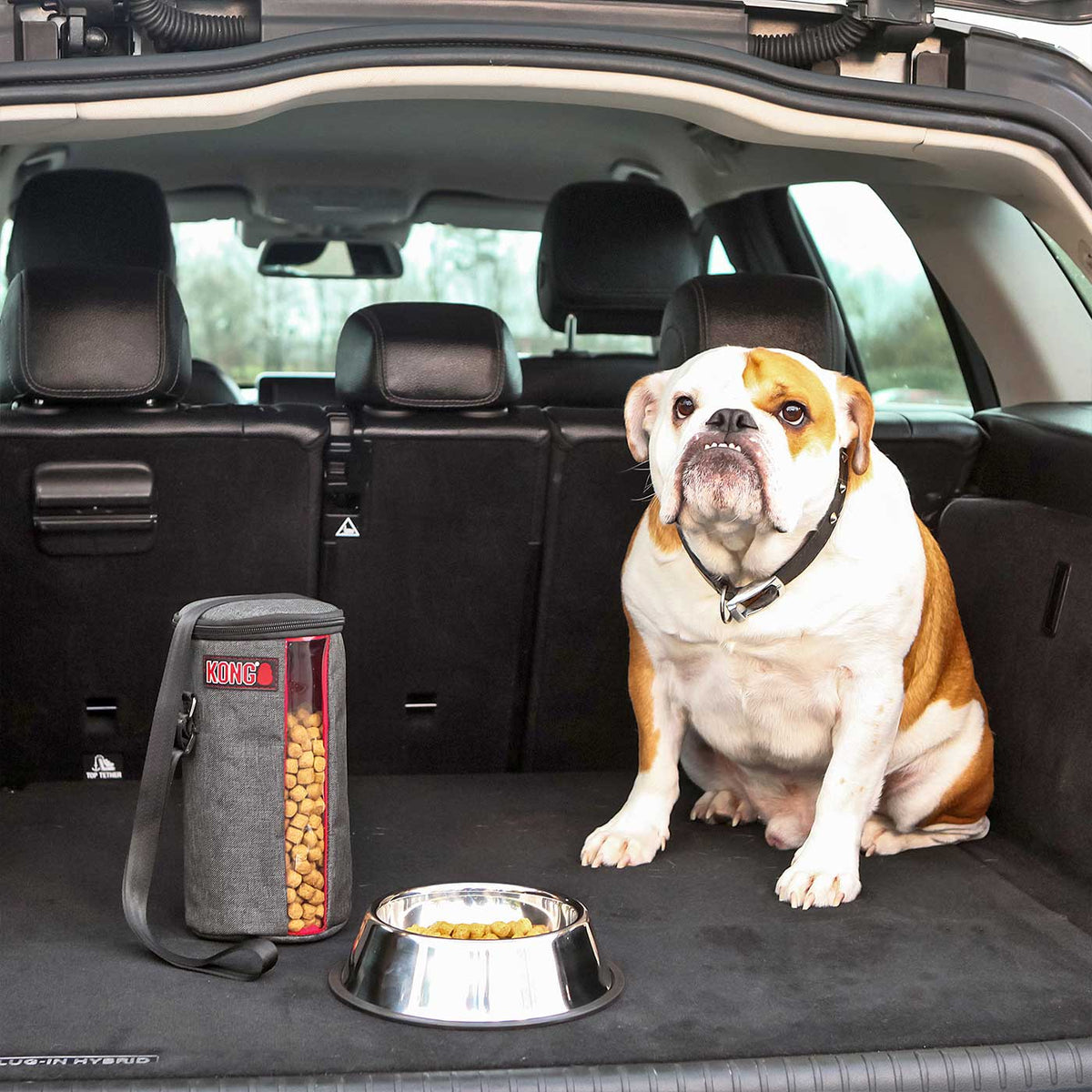 KONG Kibble Storage Bag, view 2