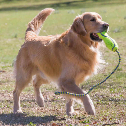 KONG Airdog Fetch Stick With Rope, view 2