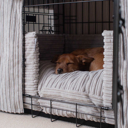 Dog Crate Set in Light Grey Essentials Plush, view 3