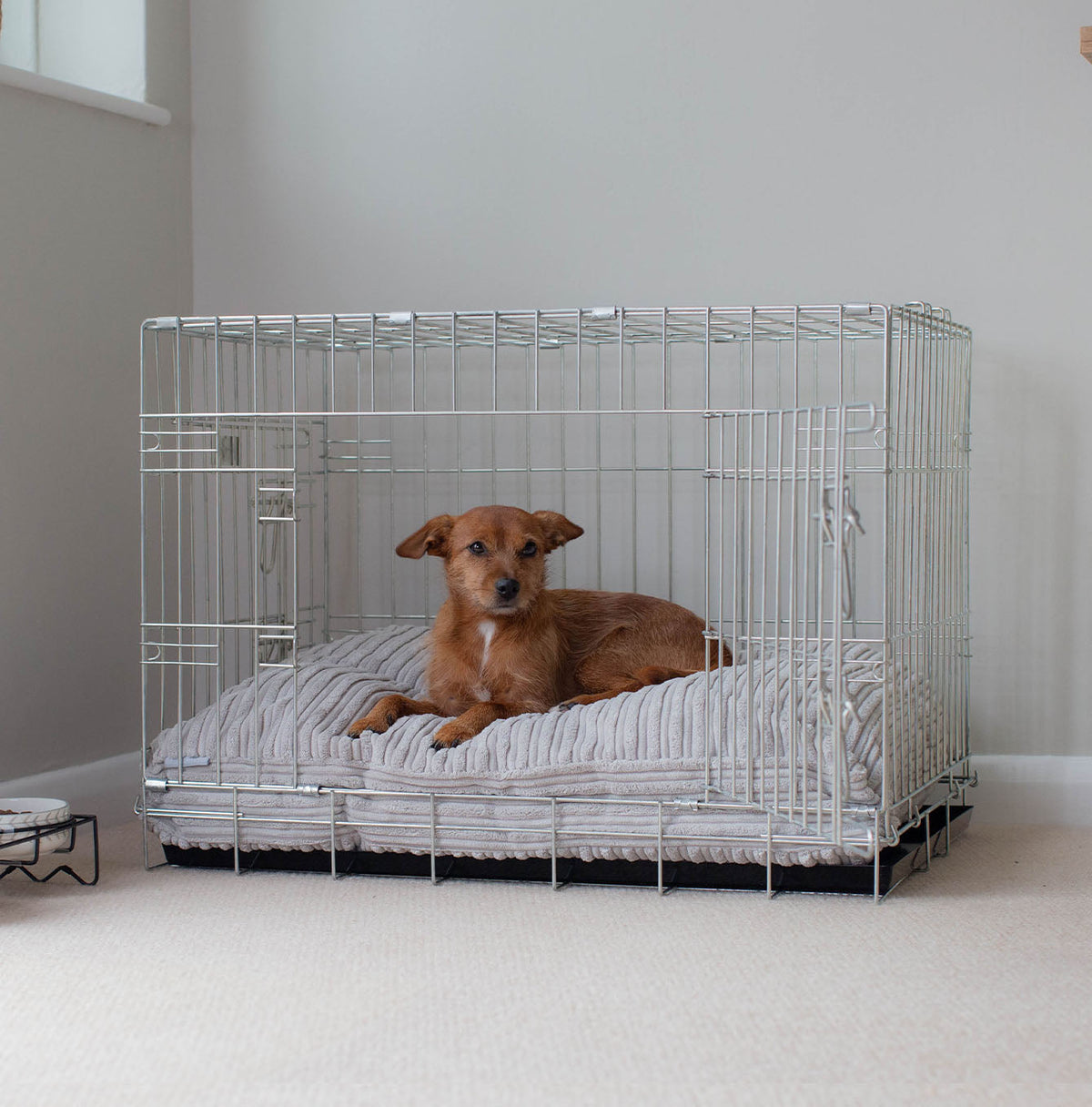 Dog Cushion in Light Grey Essentials Plush
