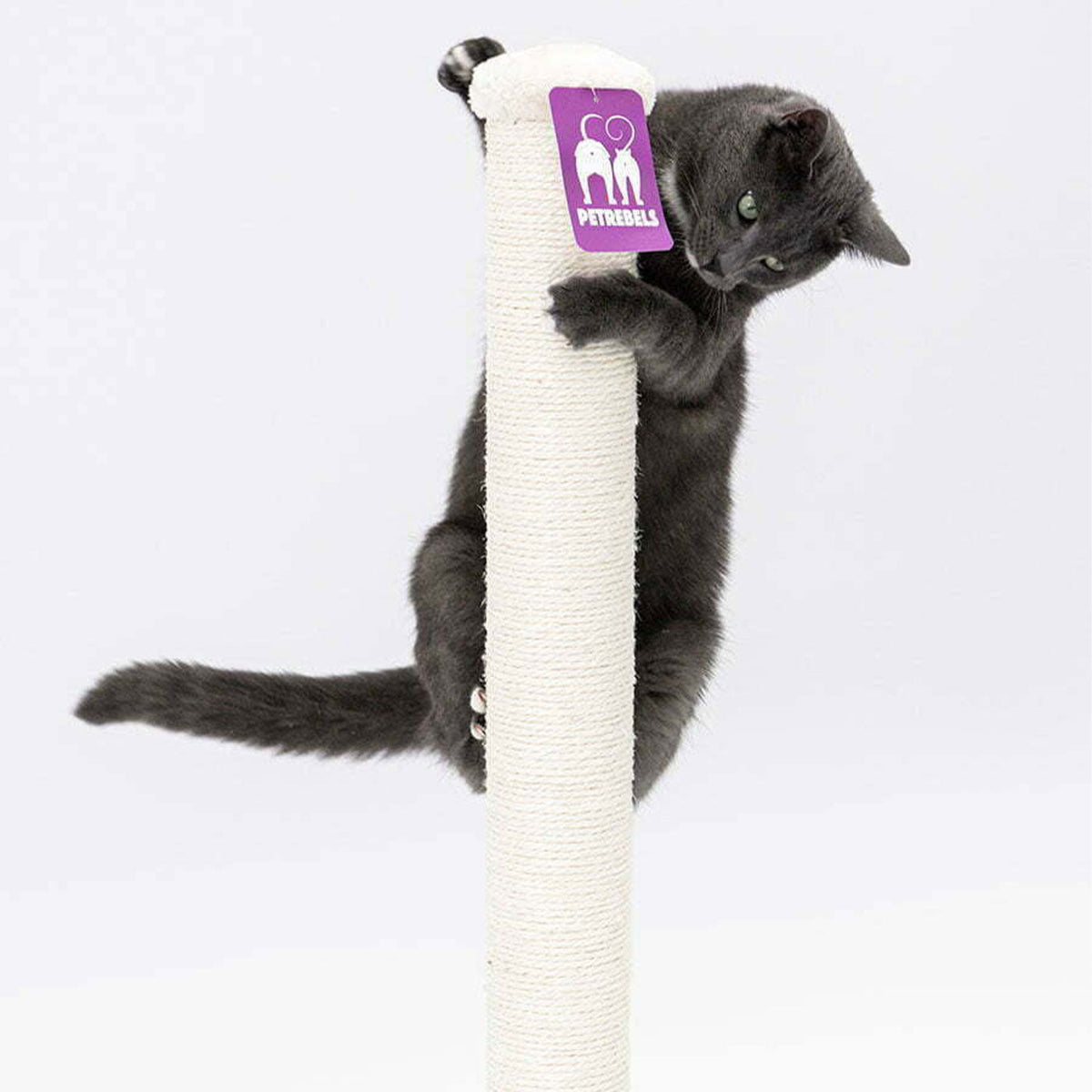 Little Rebels Maine 90cm Cat Tree, view 2