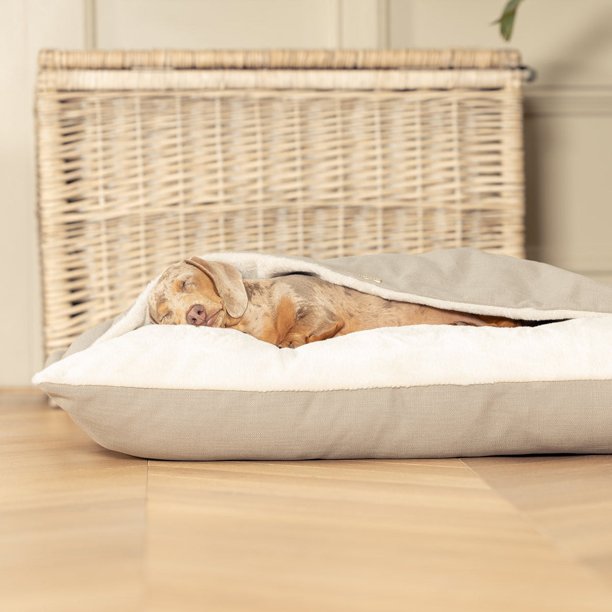 Sleepy Burrows Bed With Removable Cover in Savanna Stone, view 6