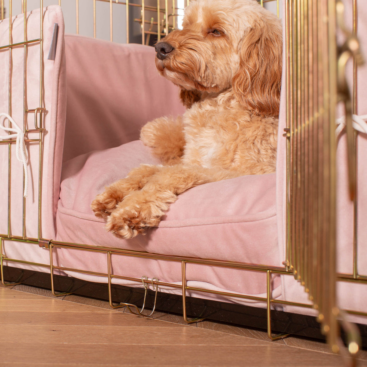 Dog Crate Bumper in Blossom Velvet, view 3