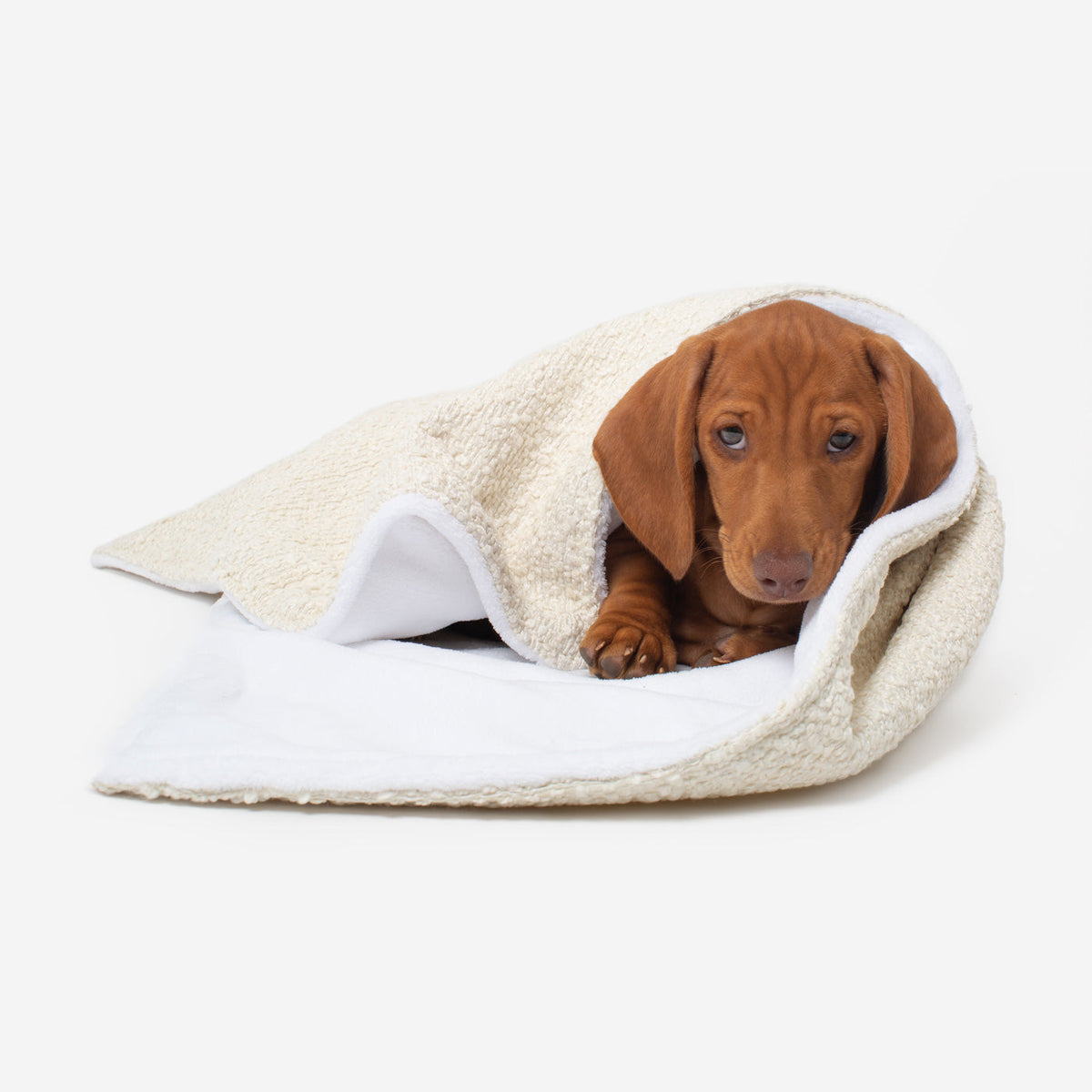 Dog & Puppy Blanket in Bouclé, view 4
