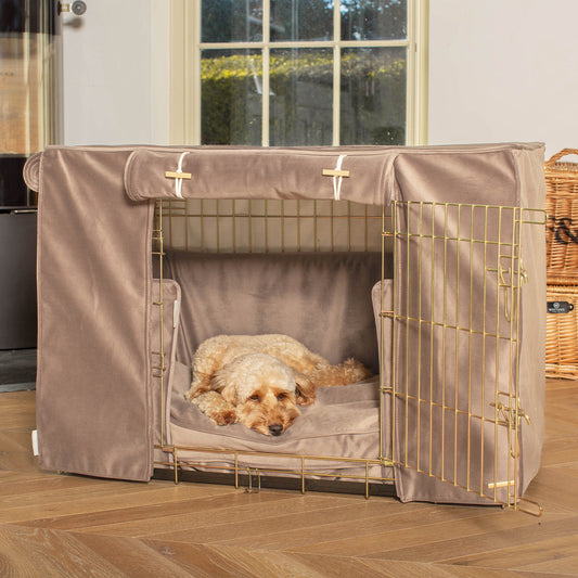 Dog Crate Set In Clay Velvet