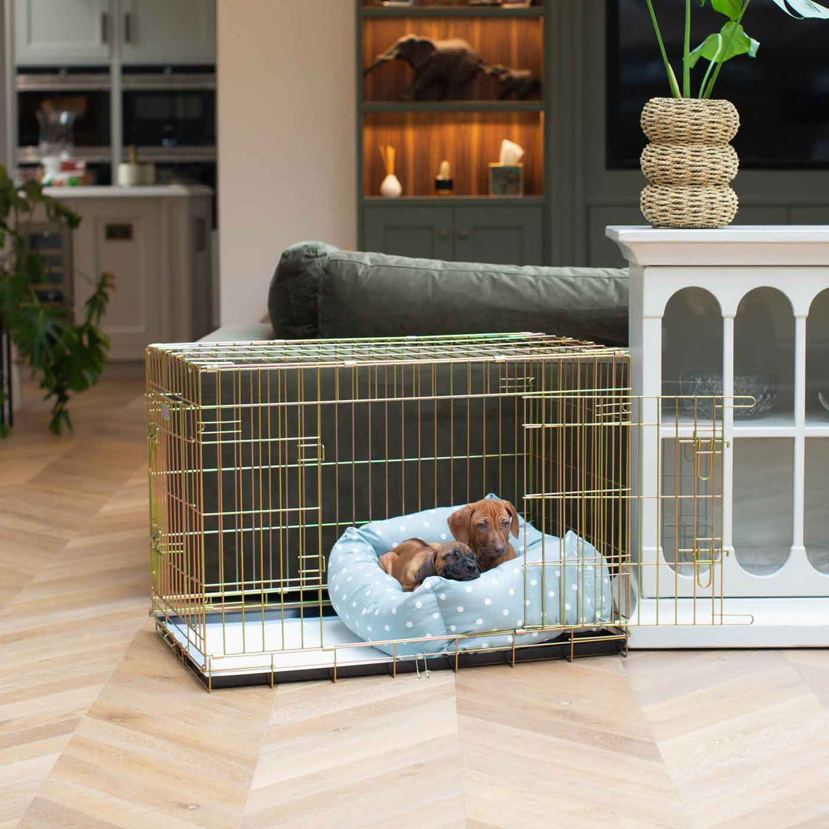 Dog Crate with Cosy & Calming Puppy Crate Bed in Duck Egg Spot