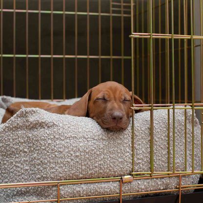 Dog Crate with Cosy & Calming Puppy Crate Bed in Mink Bouclé, view 6