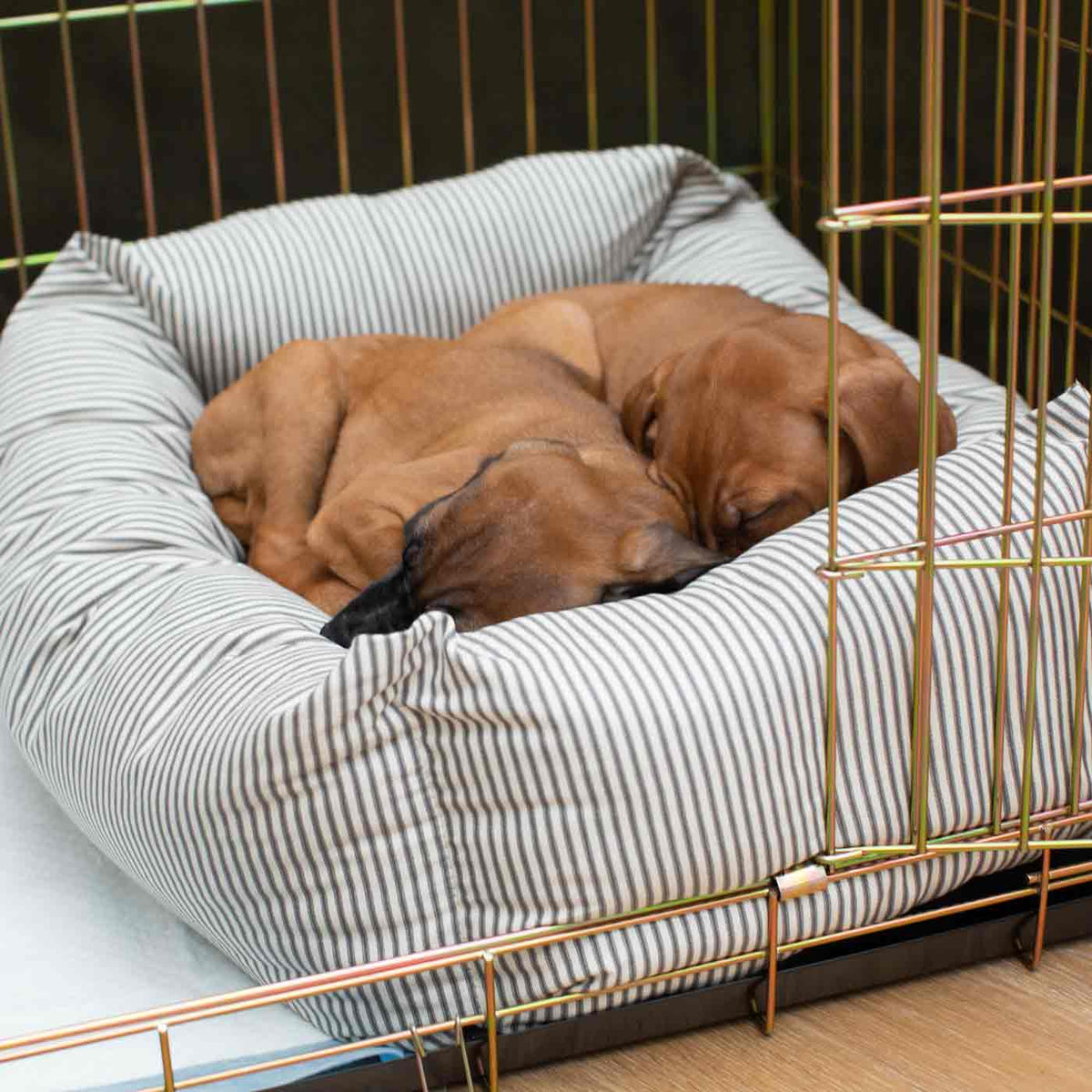 Dog Crate with Cosy & Calming Puppy Crate Bed in Regency Stripe, view 7