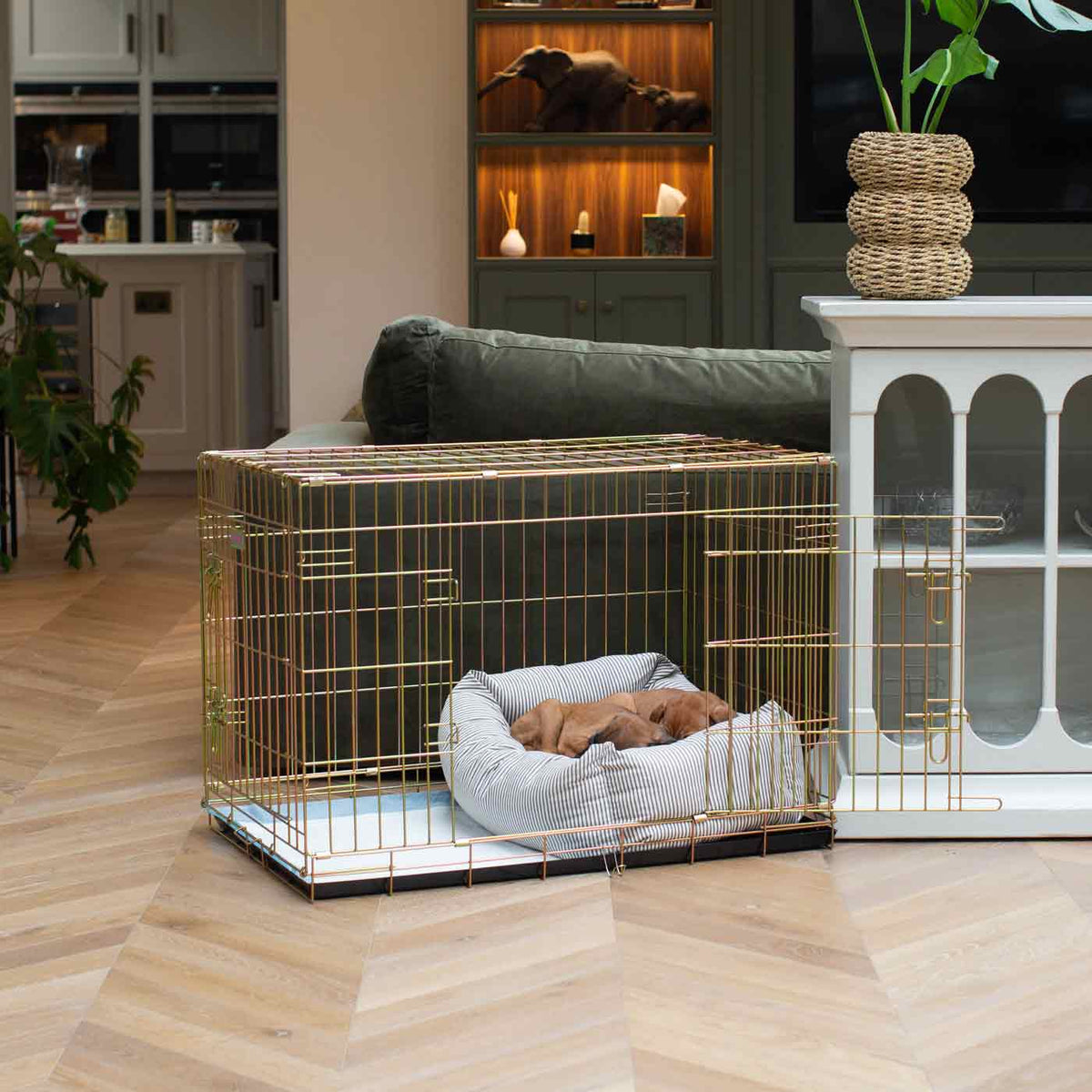Dog Crate with Cosy & Calming Puppy Crate Bed in Regency Stripe