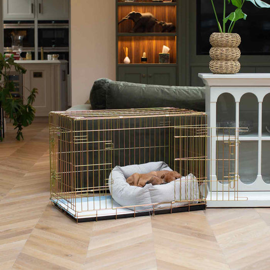 Dog Crate with Cosy & Calming Puppy Crate Bed in Regency Stripe