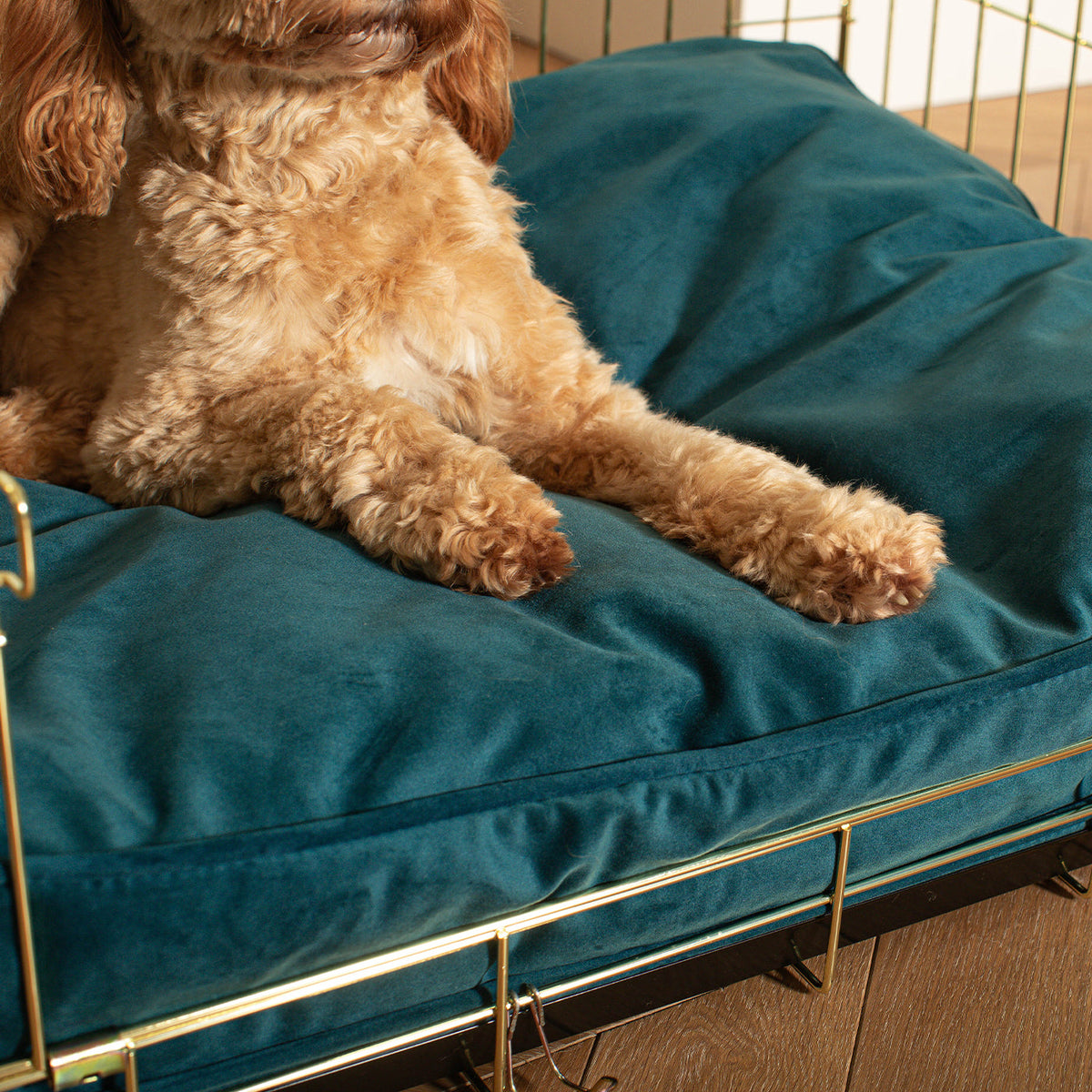 Dog Cushion in Marine Velvet, view 3