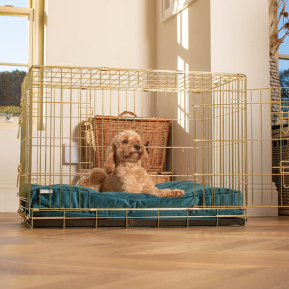 Dog Cushion in Marine Velvet