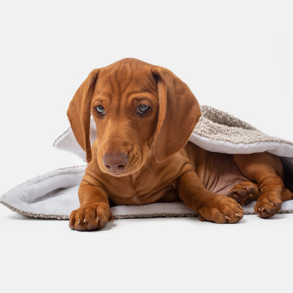 Dog & Puppy Blanket in Bouclé, view 11
