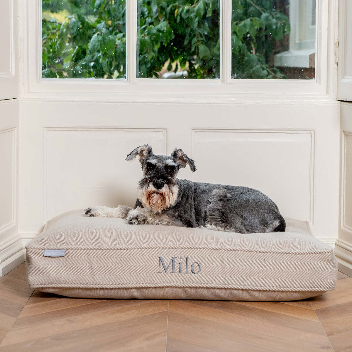 Dog Cushion in Natural Herringbone Tweed, view 11