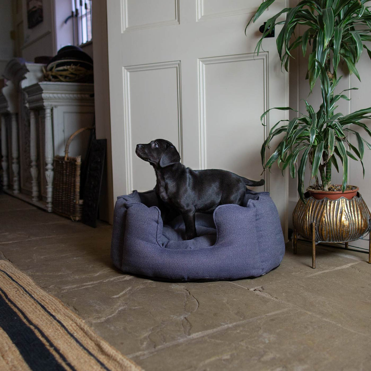 High Wall Bed With Removable Covers in Oxford Herringbone Tweed, view 4