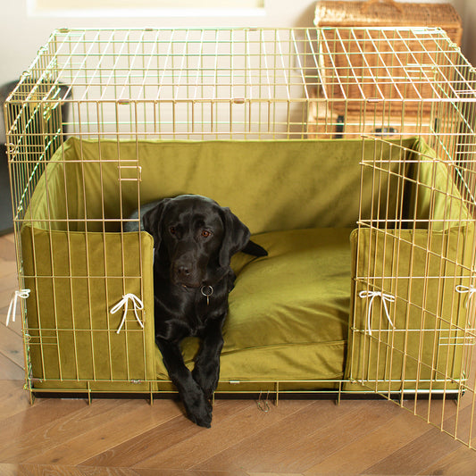 Dog Crate Bumper in Olive Velvet